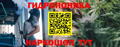 a pvp Донской