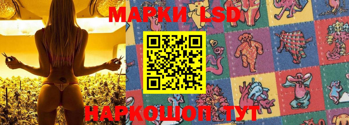 Марки NBOMe 1,5мг  Марки NBOMe  Нижний Тагил  Вход с VPN 