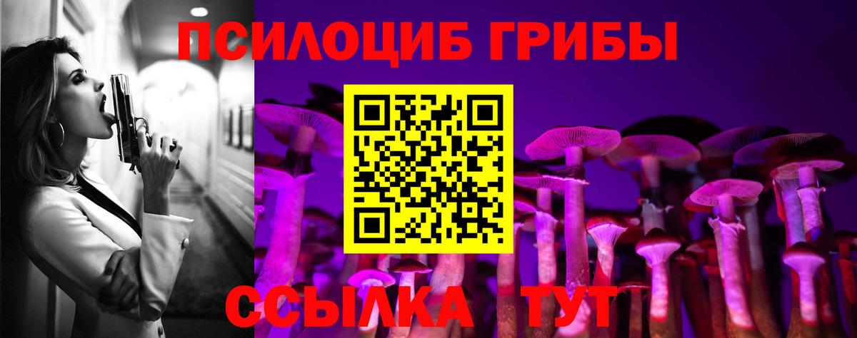 Нижний Тагил  Псилоцибиновые грибы Cubensis  Вход с VPN 